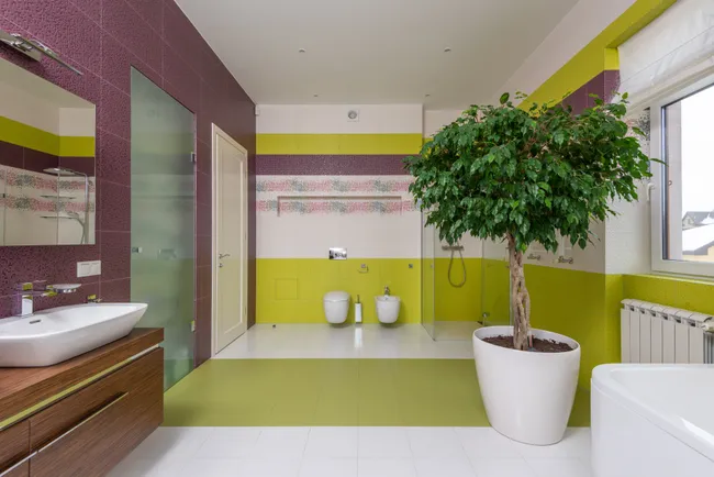 Moderne badkamer met gekleurde muren, keramische wastafel en spiegel met groene plant bij raam