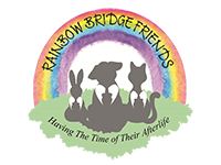 Rainbow bridge friends